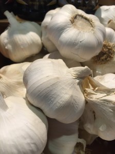garlic
