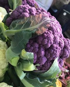 purple cauliflower